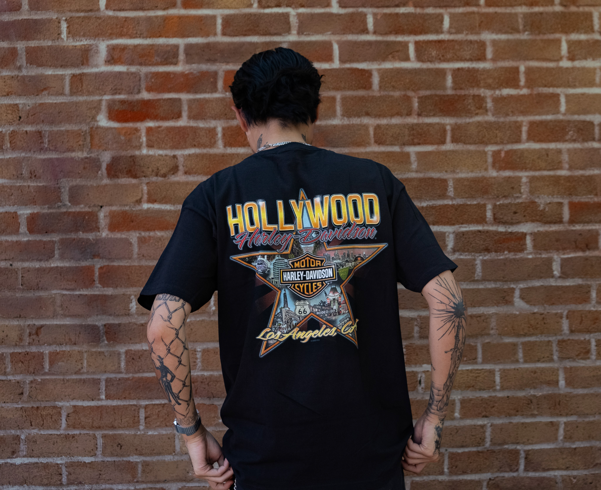 Harley-Davidson® of Hollywood Walk of Fame Star Collection Harley-Davidson® of Hollywood Walk of Fame Star Collection