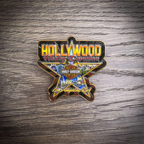 Hollywood Star Pin