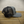 Willie G Harley-Davidson Arch Trucker Hat