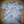 Monochromatic Hollywood T-Shirt