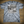 Monochromatic Hollywood T-Shirt